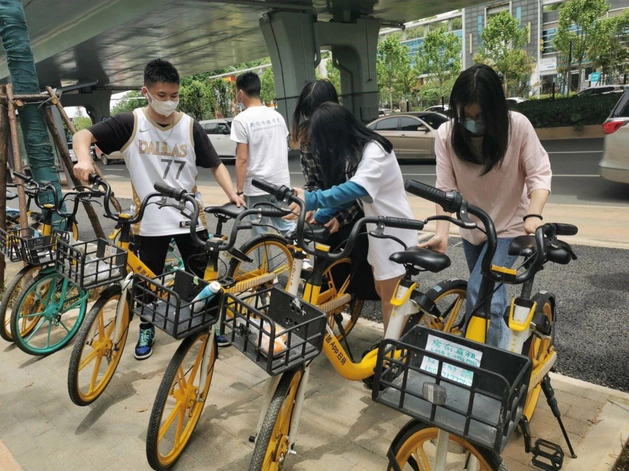 问鼎娱乐