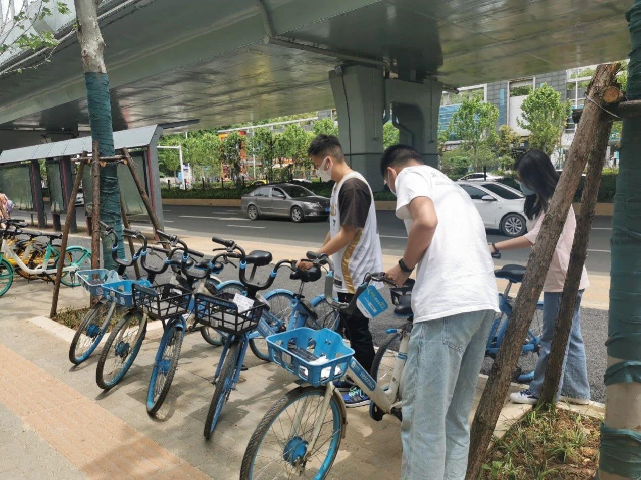 问鼎娱乐