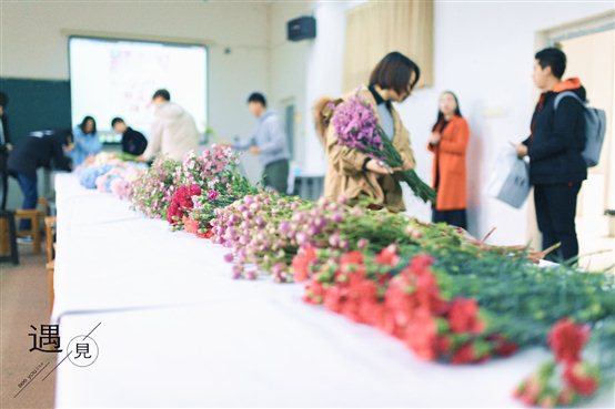 问鼎娱乐