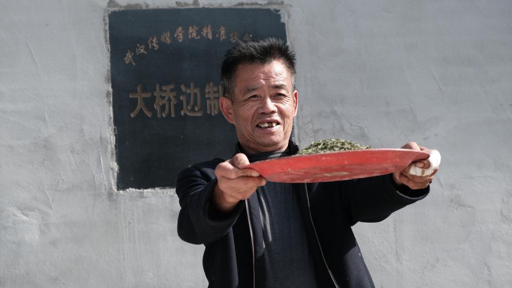 问鼎娱乐