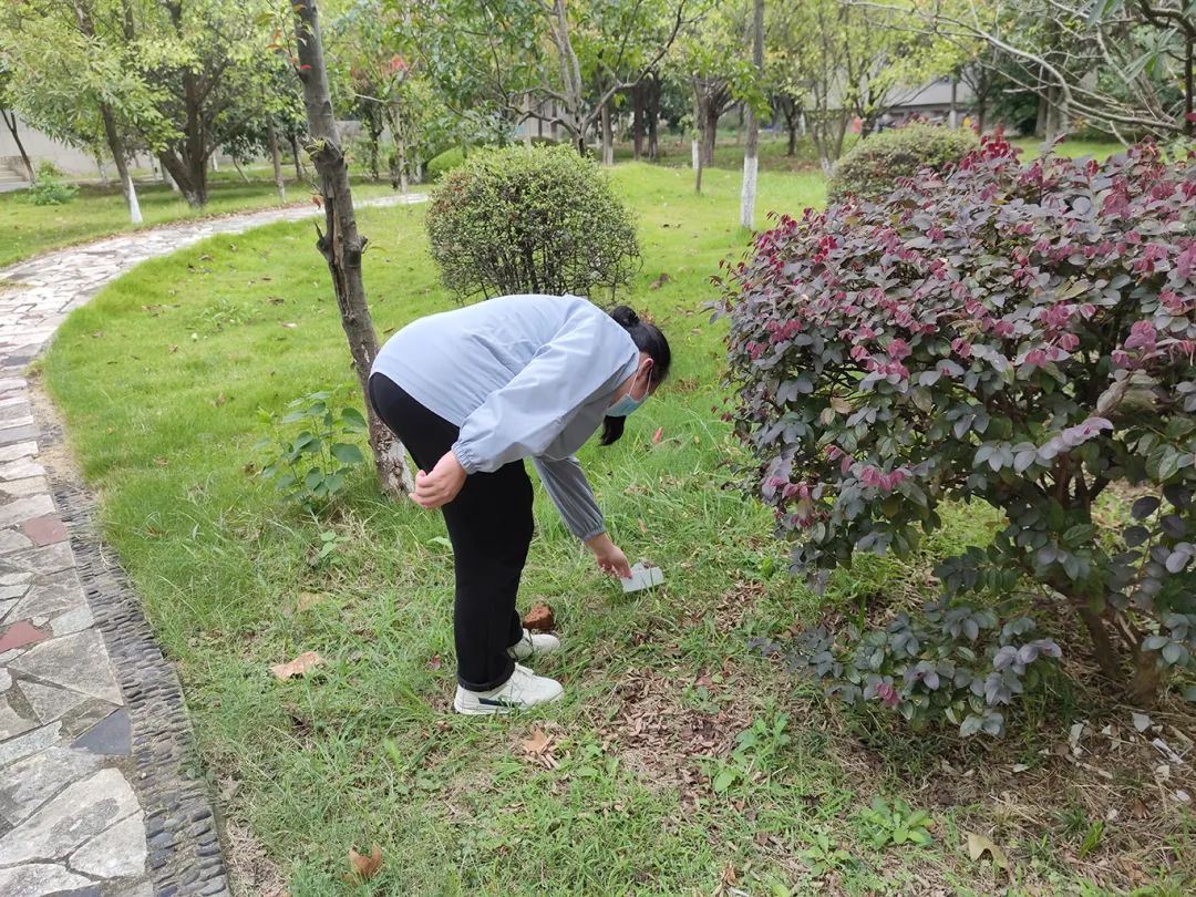 问鼎娱乐