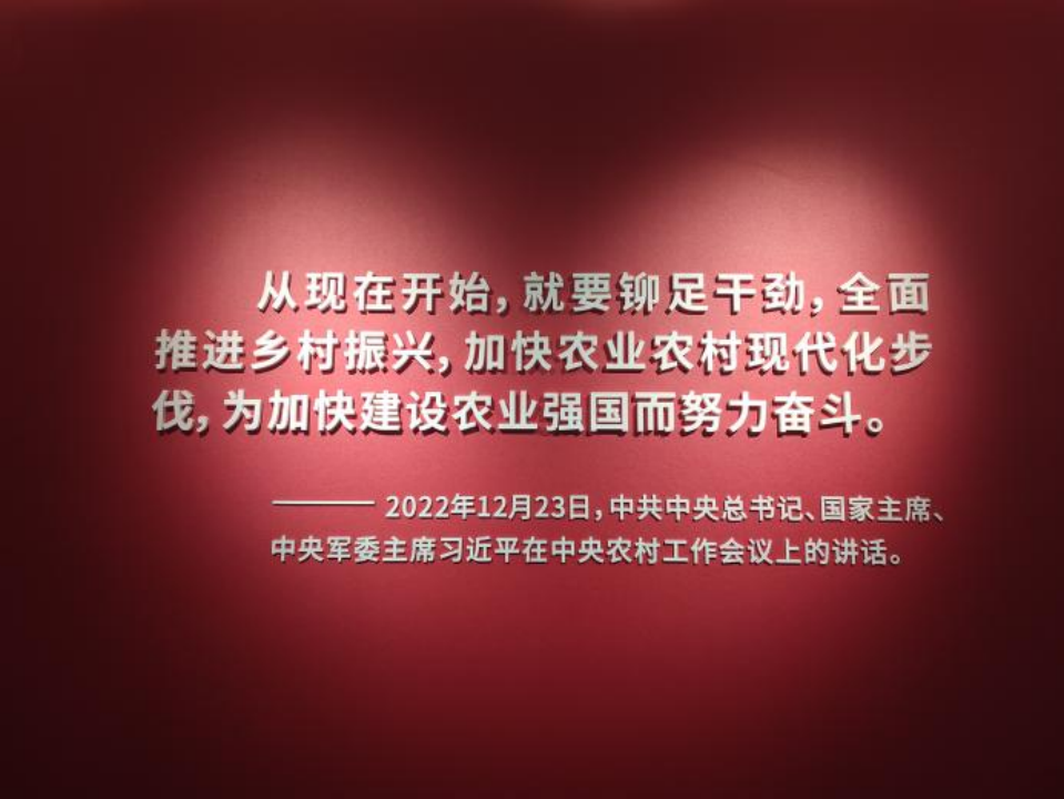 问鼎娱乐