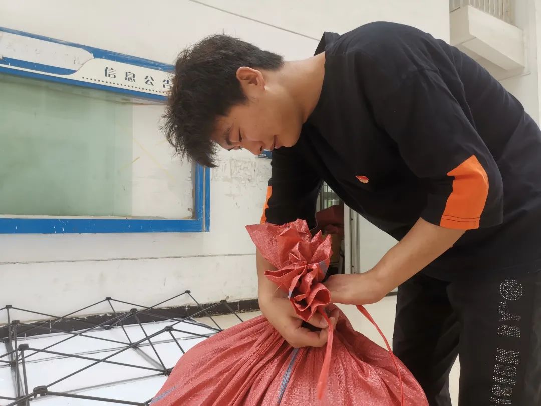 问鼎娱乐