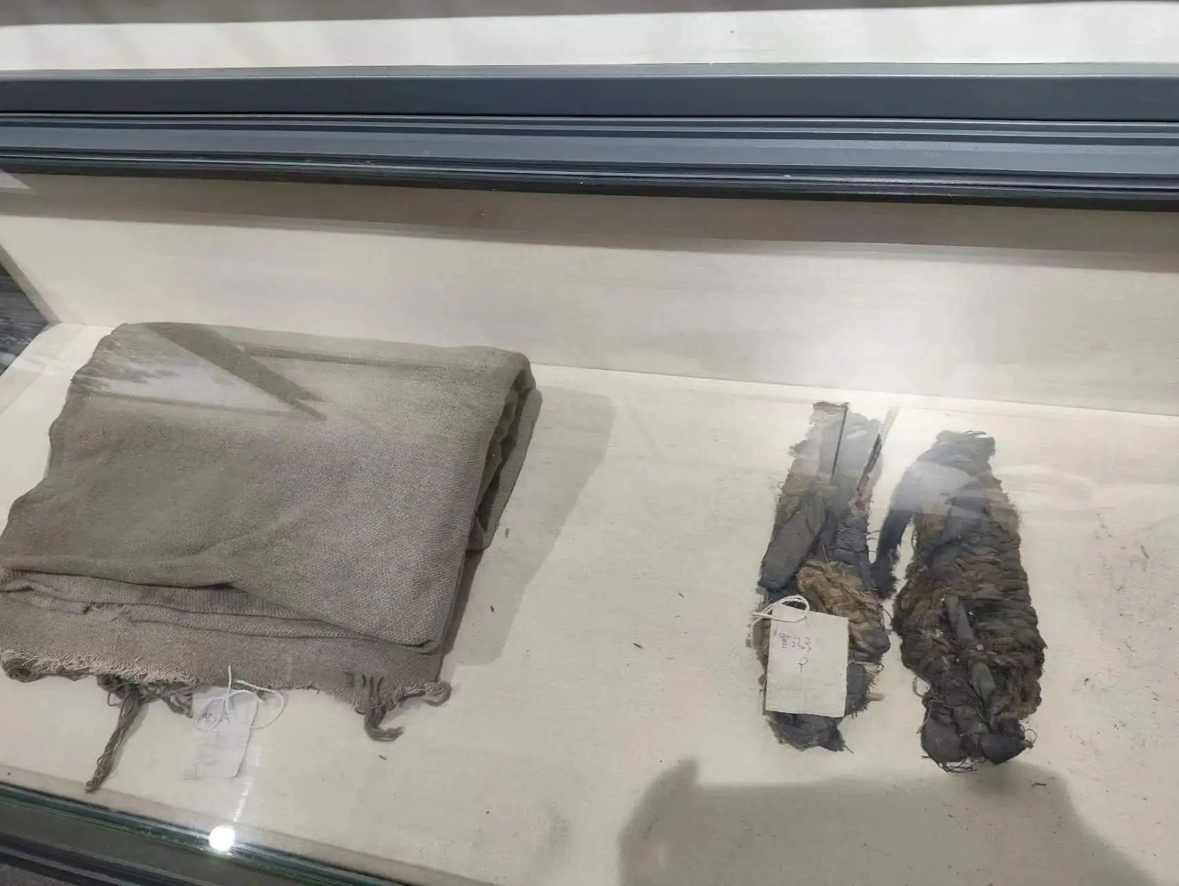 问鼎娱乐