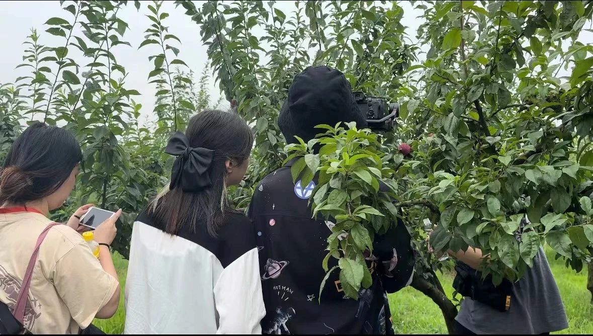 问鼎娱乐
