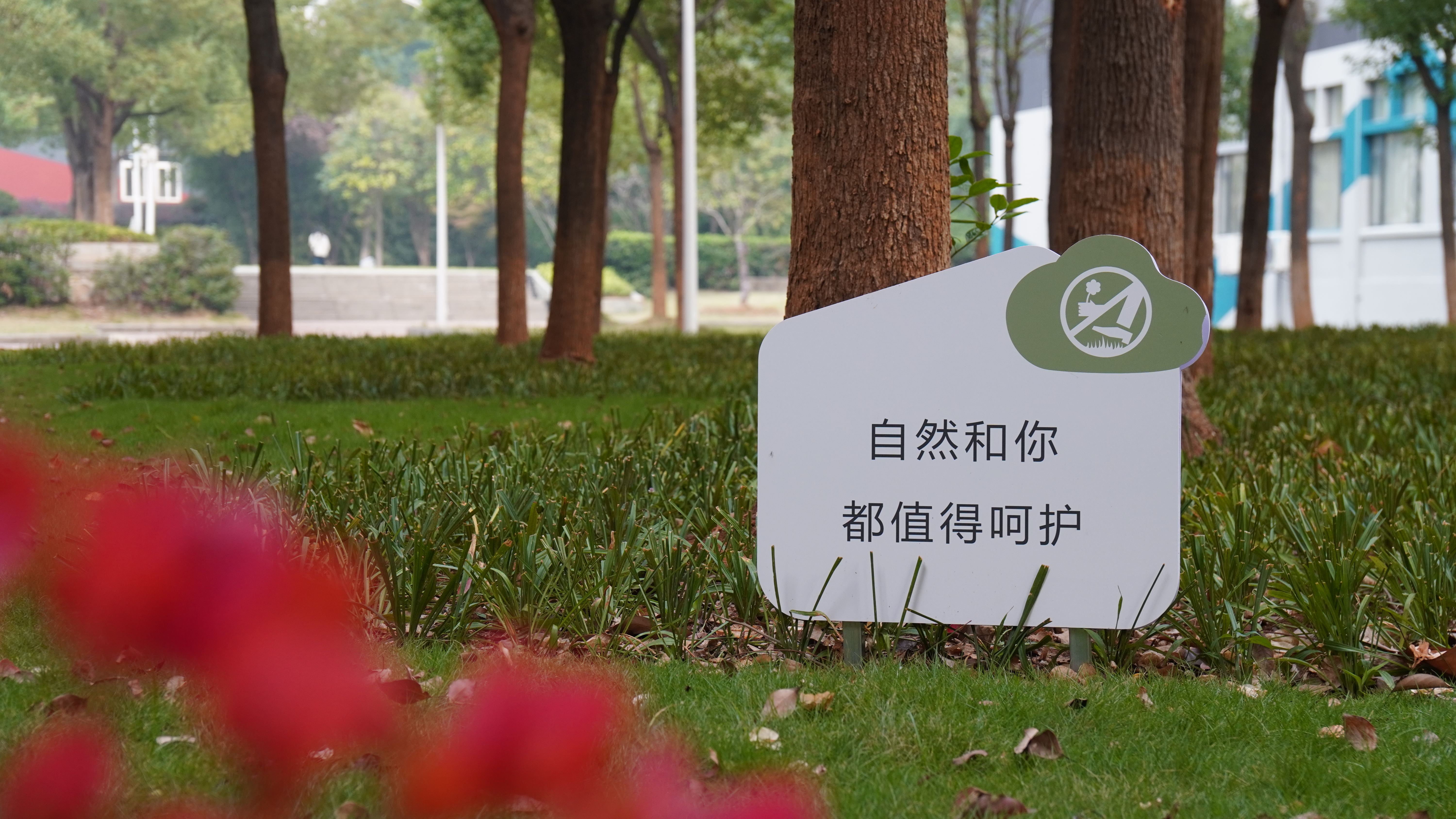 问鼎娱乐